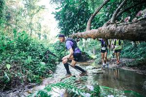 BIB: 
                            <button type="button" onclick="openModal(25441713)" class="btn btn-primary btn-sm float-right btn-popup" data-toggle="modal" data-target=".modal-high-quality">
                        <i class="fas fa-shopping-cart"></i> Add to Cart
                    </button>
                                            <button type="button" onclick="isThisMe(25441713, true)" class="btn btn-success btn-sm float-right btn-popup btn-isme hidden" data-toggle="tooltip" data-placement="bottom" title="นี่คือรูปของคุณใช่ไหม คลิกที่นี่เพื่อเอาเข้าอัลบั้ม">
                        <i class="fas fa-plus"></i> Add to album
                    </button>
                    <button type="button" onclick="isThisMe(25441713, false)" class="btn btn-warning btn-sm float-right btn-popup btn-isnotme hidden">
                        <i class="fas fa-ban"></i> Remove from album
                    </button>